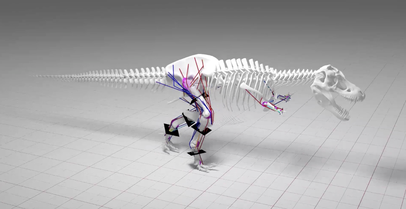 T. Rex Couldn’t Sprint But It Could Still Move Faster Than You