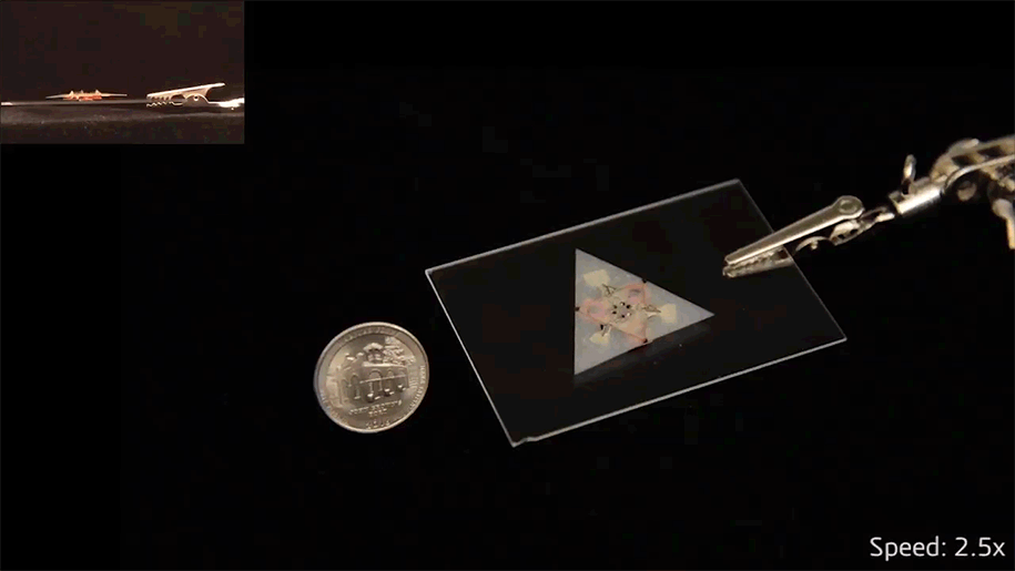 Incredible Self-Folding Robots Work Without Batteries Or Wires