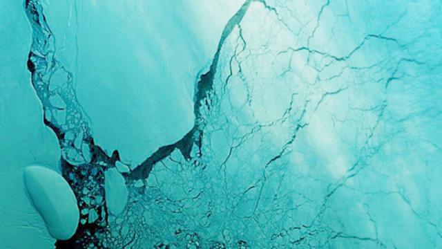 Antarctica’s Massive Iceberg Is Starting To Disintegrate