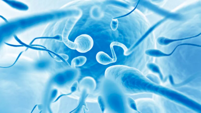 Sperm Counts Have Plummeted Among Western Men, Scientists Confirm