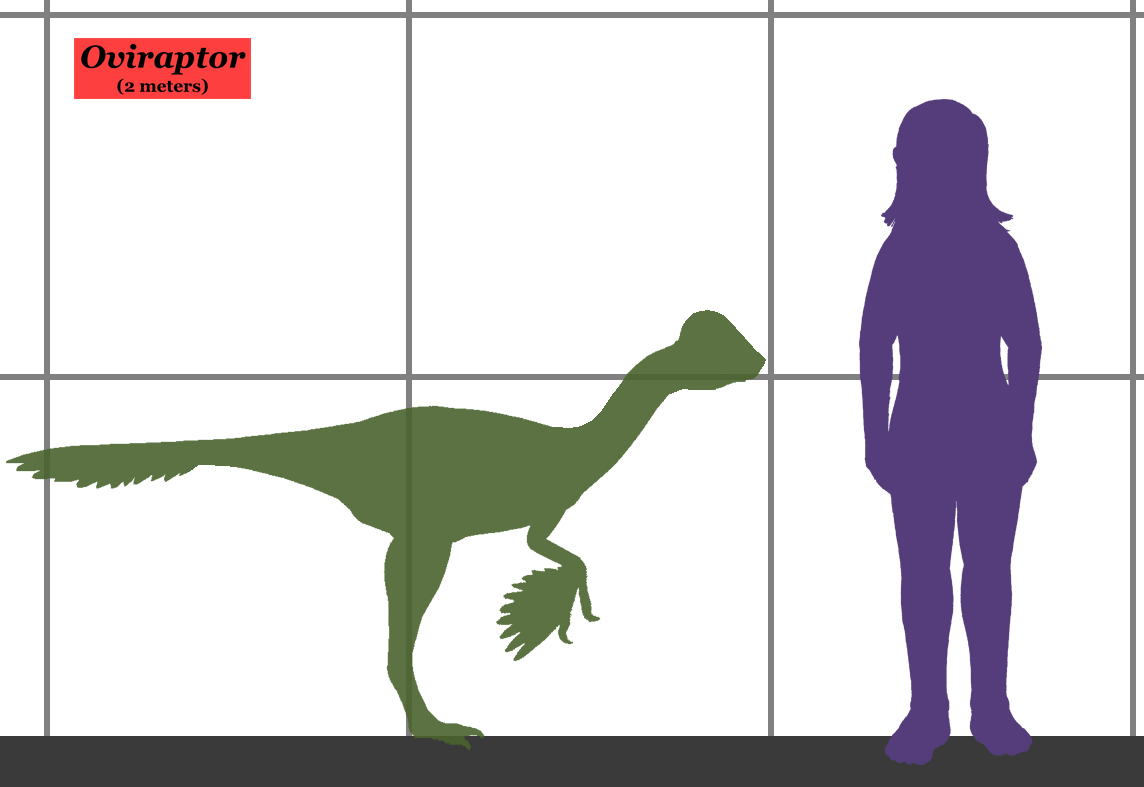 Clever 10-Year-Old Corrects Dinosaur Error At London’s Natural History Museum