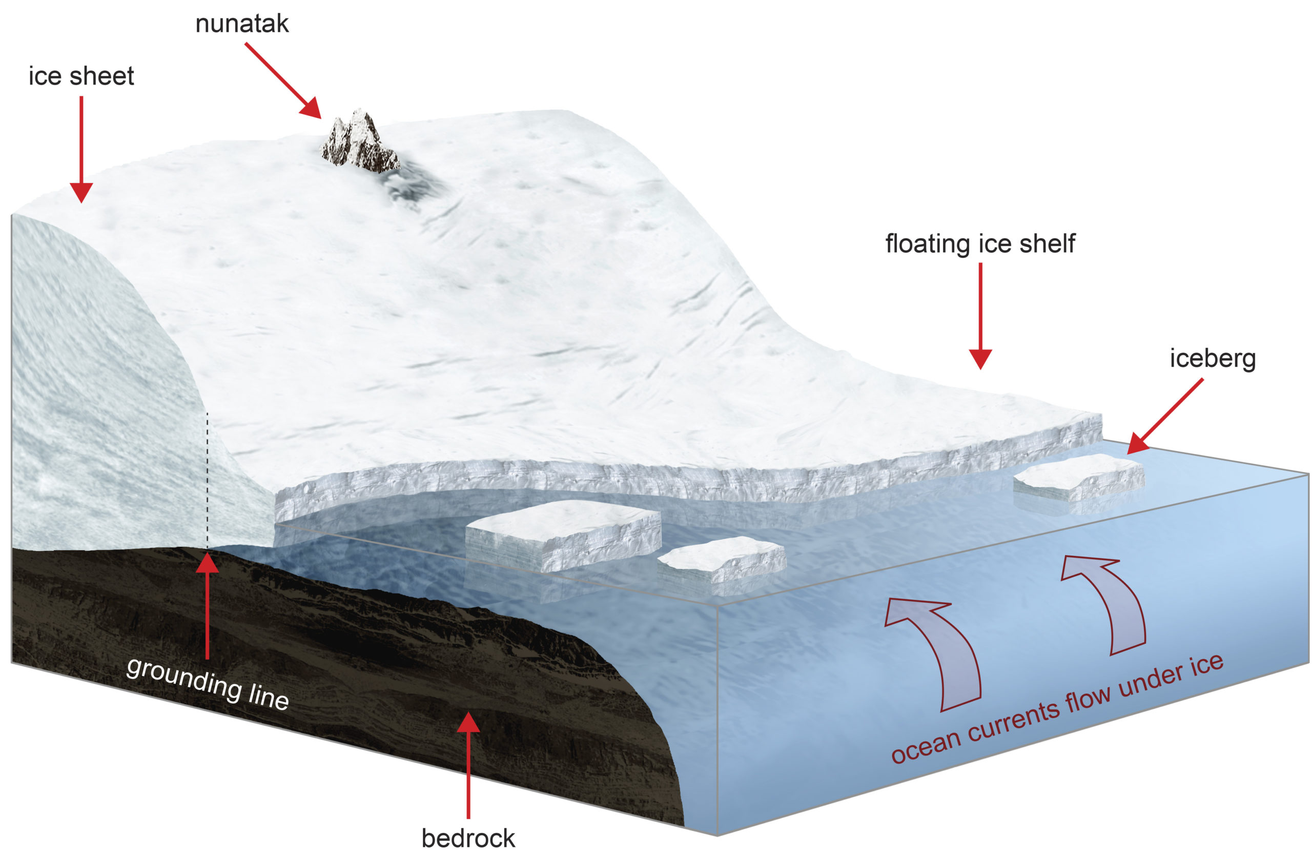 Antarctica’s Massive Iceberg Has Become A Major Scientific Experiment