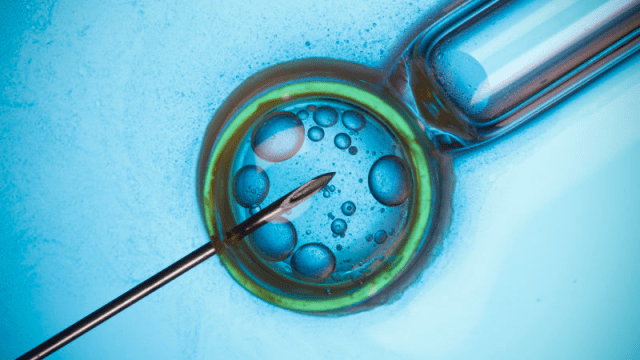 It’s Official: For The First Time Ever, US Scientists Have Edited The DNA Of A Human Embryo