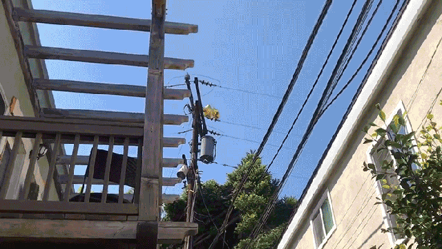 Watch Metallic Birthday Balloons Touch A Power Line And Explode Like A Grenade