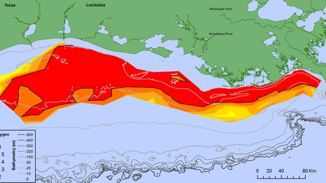 The Largest ‘Dead Zone’ Ever Has Been Recorded Off The Coast Of Louisiana 