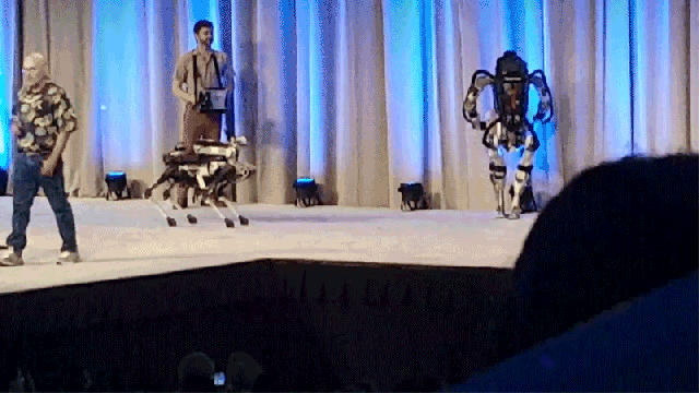 Watch ATLAS The Robot Autonomously Fall Off A Stage