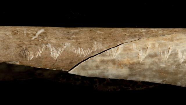 Bone Etchings Suggest Ancient Cannibals Weren’t Just Doing It For The Meat