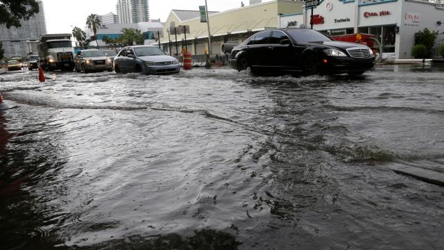 Why Are Sea Levels Around Miami Rising So Much Faster Than Other Places?