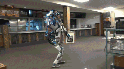 The Only Job Humanoid Robots Are Good At Is Making Hilarious GIFs
