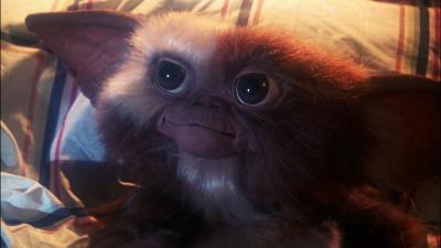 Sounds Like A ‘Twisted And Dark’ Gremlins 3 Might Actually Happen