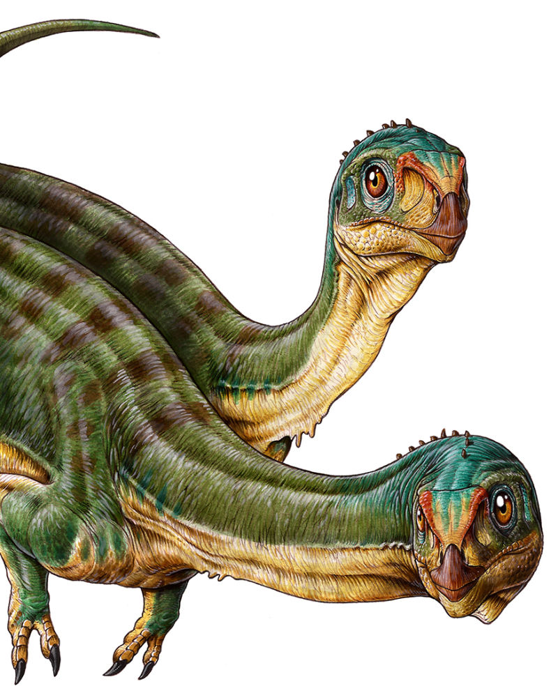 One Of The Most Puzzling Dinosaurs Ever Discovered Just Got A Major Rebrand