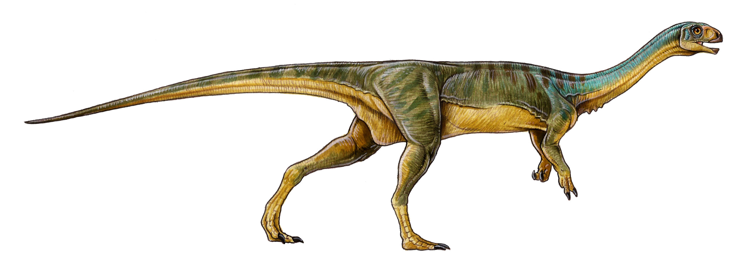 One Of The Most Puzzling Dinosaurs Ever Discovered Just Got A Major Rebrand