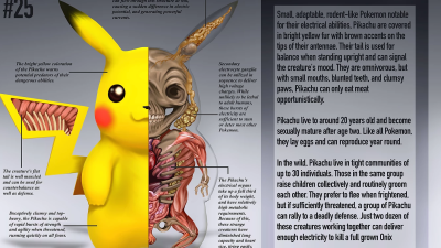 Twisted Anatomy Book Shows What It Would Be Like To Dissect Your Favourite Pokémon