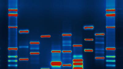 Encryption Technology Could Protect The Privacy Of Your DNA 