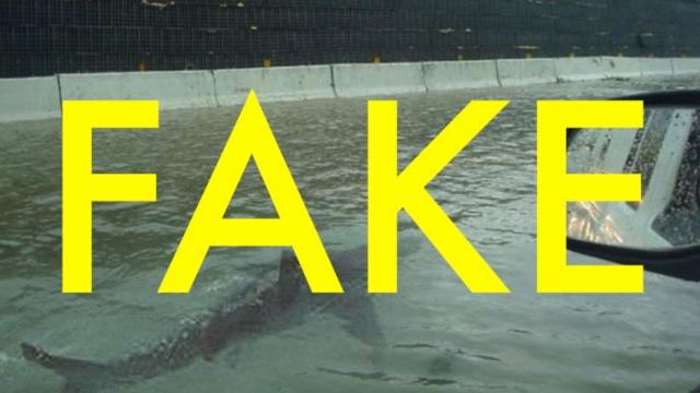 That Totally Fake Shark Photo Isn’t From Hurricane Harvey (Or Any Other Hurricane)