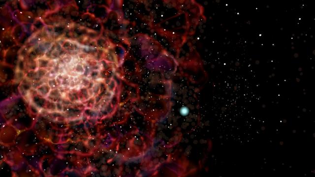 You Can Help Australian Scientists Look For Exploding Stars