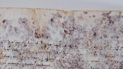 High-Tech Science Solves The Mystery Of 800-Year-Old Scroll