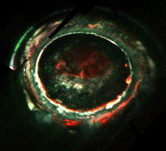 New Observations By NASA’s Juno Spacecraft Are Shaking Up Theories About Jupiter’s Auroras