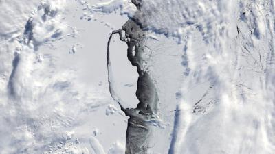 Waters Exposed By Massive Antarctic Iceberg Now A Protected Area