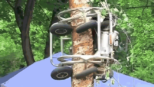 Watch This Tree-Climbing Chainsaw Monster Shave This Timber Clean