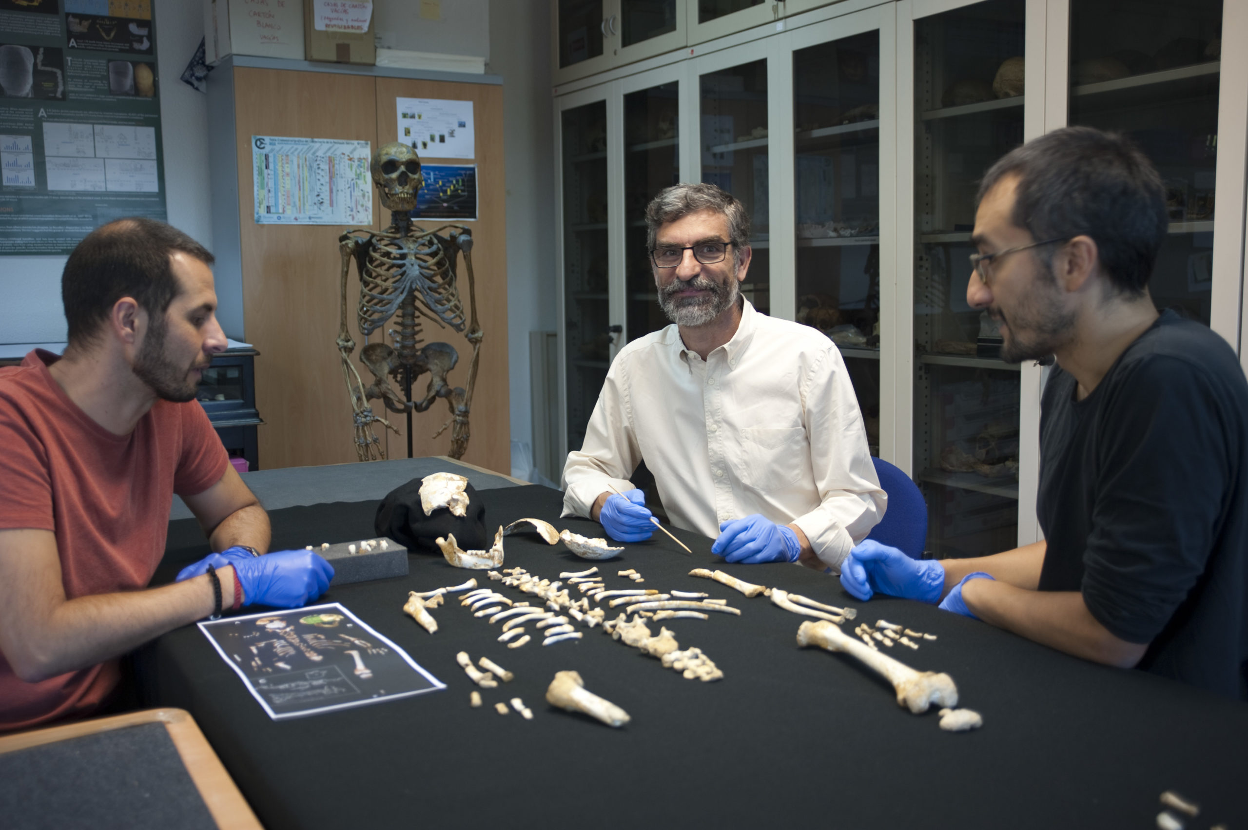 Exquisite Skeleton Of A Neanderthal Kid Offers Clues To Human Evolution