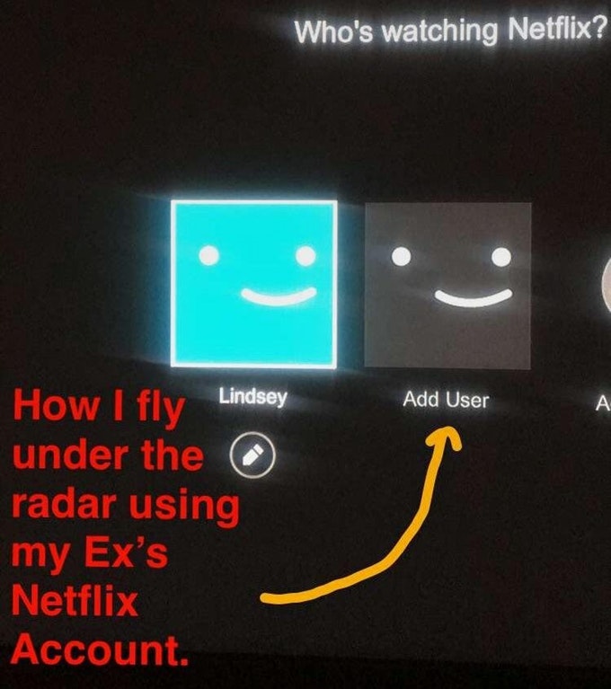 So, Whose Netflix Are You Stealing And How?