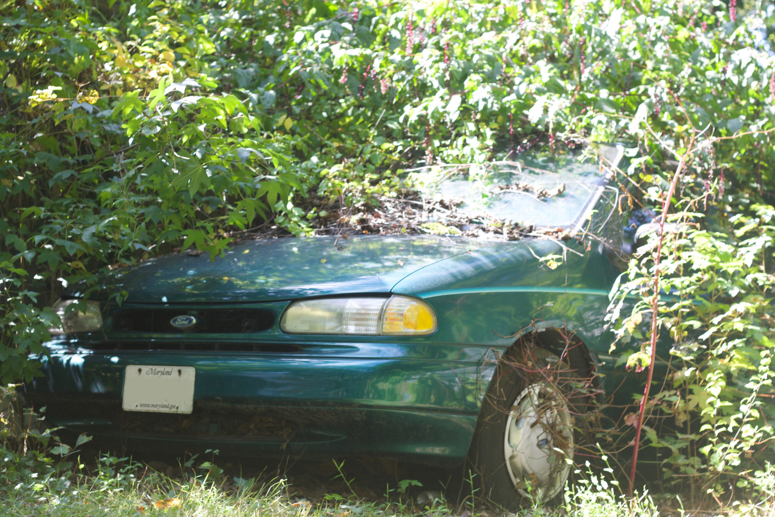 This Abandoned Lot Is A Time Capsule For Regular Cars