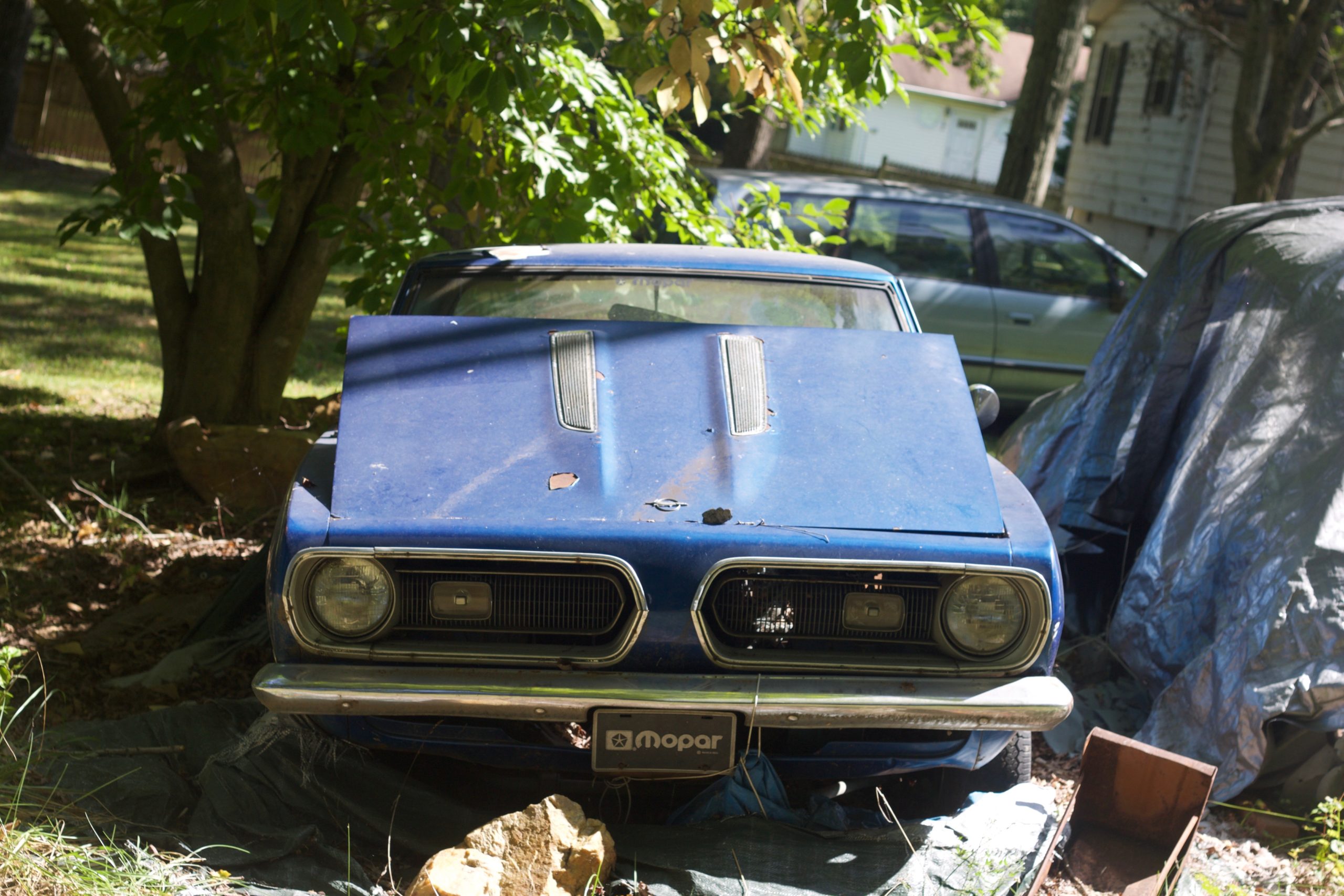 This Abandoned Lot Is A Time Capsule For Regular Cars
