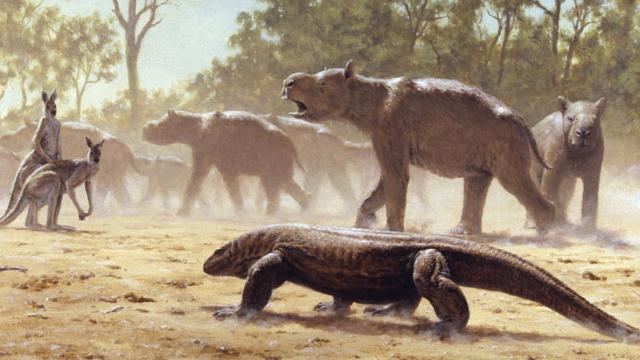 This Ancient Australian Beast Is The Only Marsupial Known To Have Made Seasonal Migrations