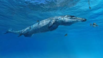 This 3-Metre-Long Jurassic Crocodile Once Menaced Britain’s Seas