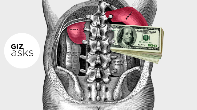 Should You Be Allowed To Sell Your Kidney?