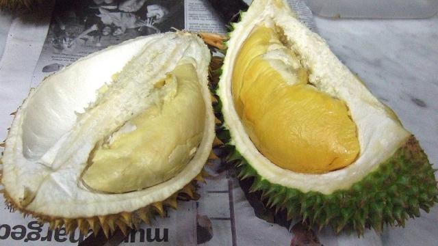 This Could Be How Durians Get Their Stinky Smell