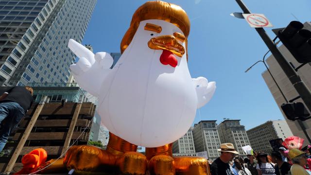 Big Chicken Wants Trump To Gut Bird Law
