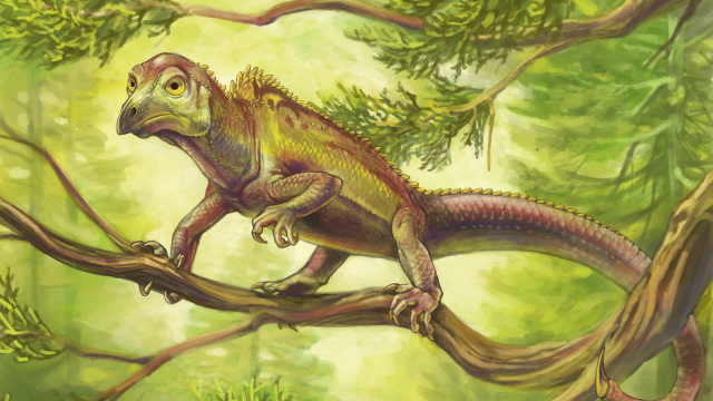 This Ancient Reptile Evolved A Weird, Bird-Like Head 100 Million Years Before Birds Did