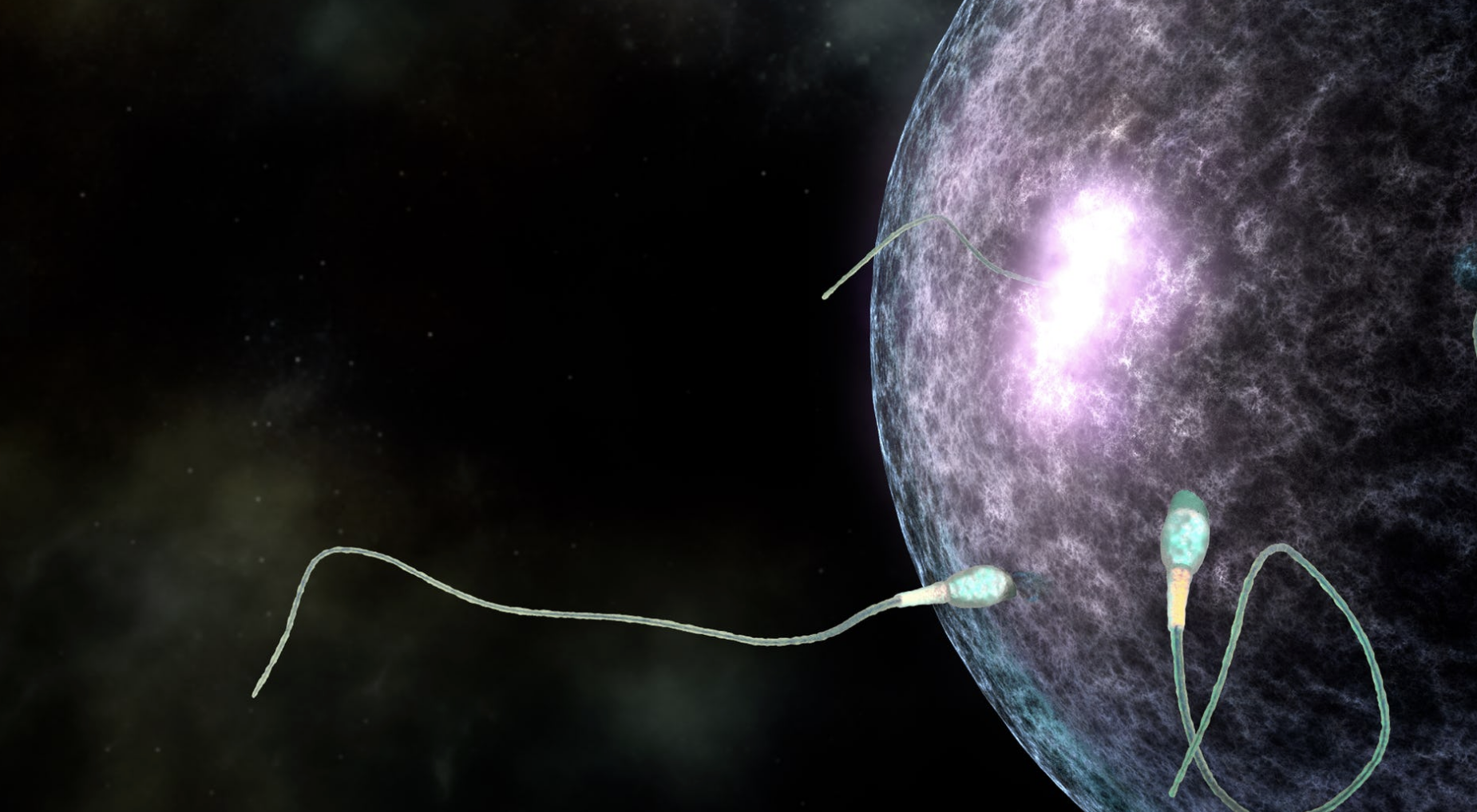 This Star Wars-Inspired Simulation Of Human Reproduction Is Awesome