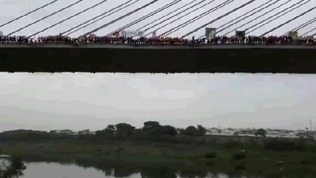 Watch 245 People Jump And Swing Off A Bridge Like A Giant Dangling Snake