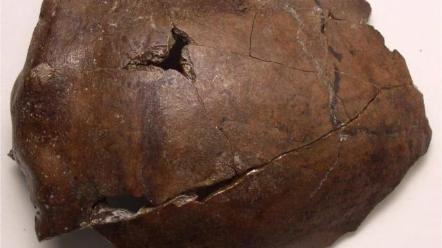 Ancient Skull Fragment Likely Belongs To Oldest Known Tsunami Victim
