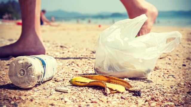 Victoria Bans The Plastic Bag