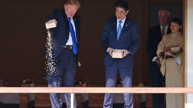 That Viral Photo Of President Trump Dumping Fish Food Is Very Misleading