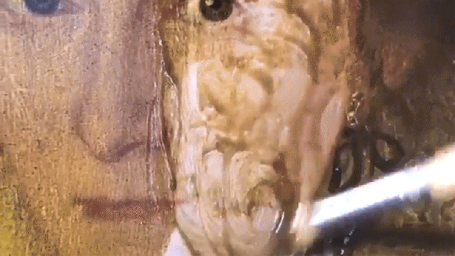 Watch An Oil Painting Instantly Lose 200 Years Of Grimy Varnish