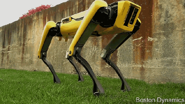 Resist The Urge To Pet Boston Dynamics’ Newest Robodog