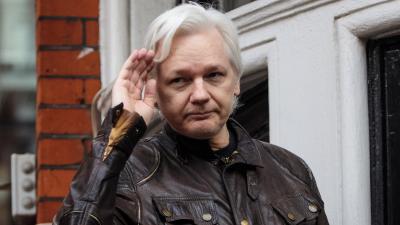 Wikileaks Asked Trump Jr To Help Make Julian Assange Australia’s US Ambassador