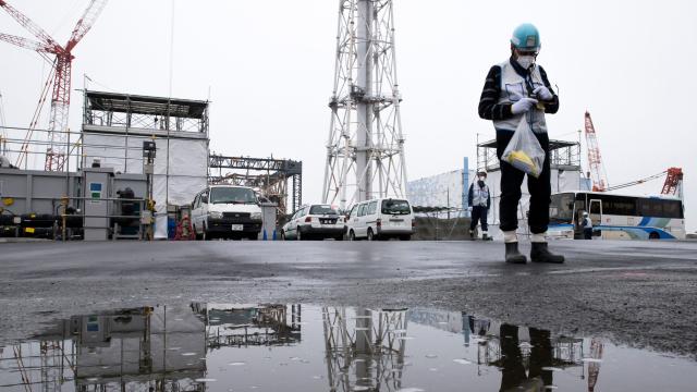 The Fukushima Cleanup Is Progressing, But At A Painstaking Pace