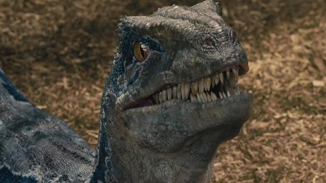 First Brief Look At Jurassic World: Fallen Kingdom Showcases The Cutest Deadly Carnivore Ever
