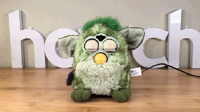 When A Furby And Alexa Love Each Other Very Much, This Intelligent Talking Furball Is The Result