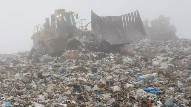 Man Who Threw Away A Fortune In Bitcoin Now Looking To Dig Up A Landfill 