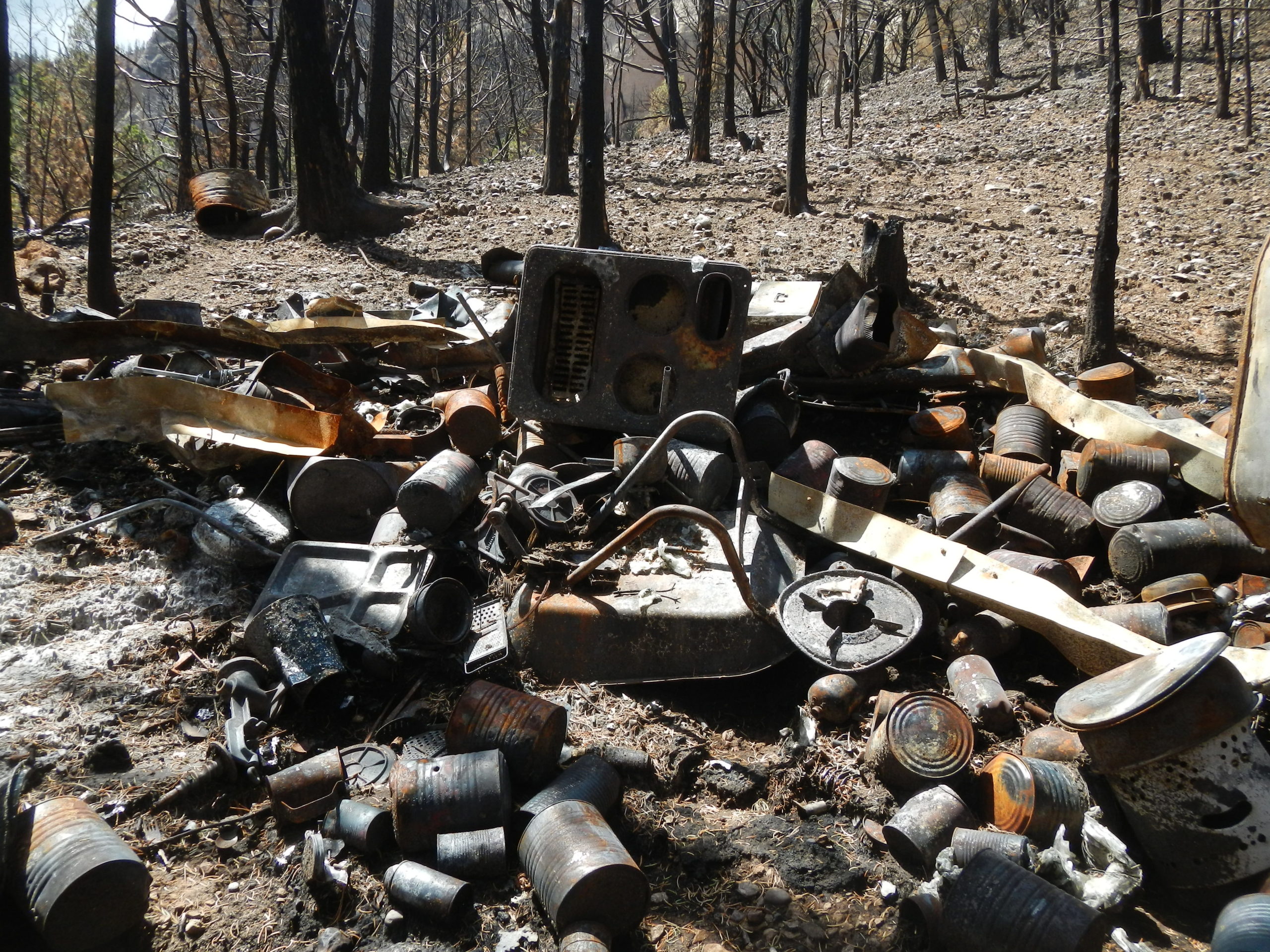 Doomsday Prepper’s Sketchy, Ammo-Filled Bunker Destroyed By Regular Old Bushfire