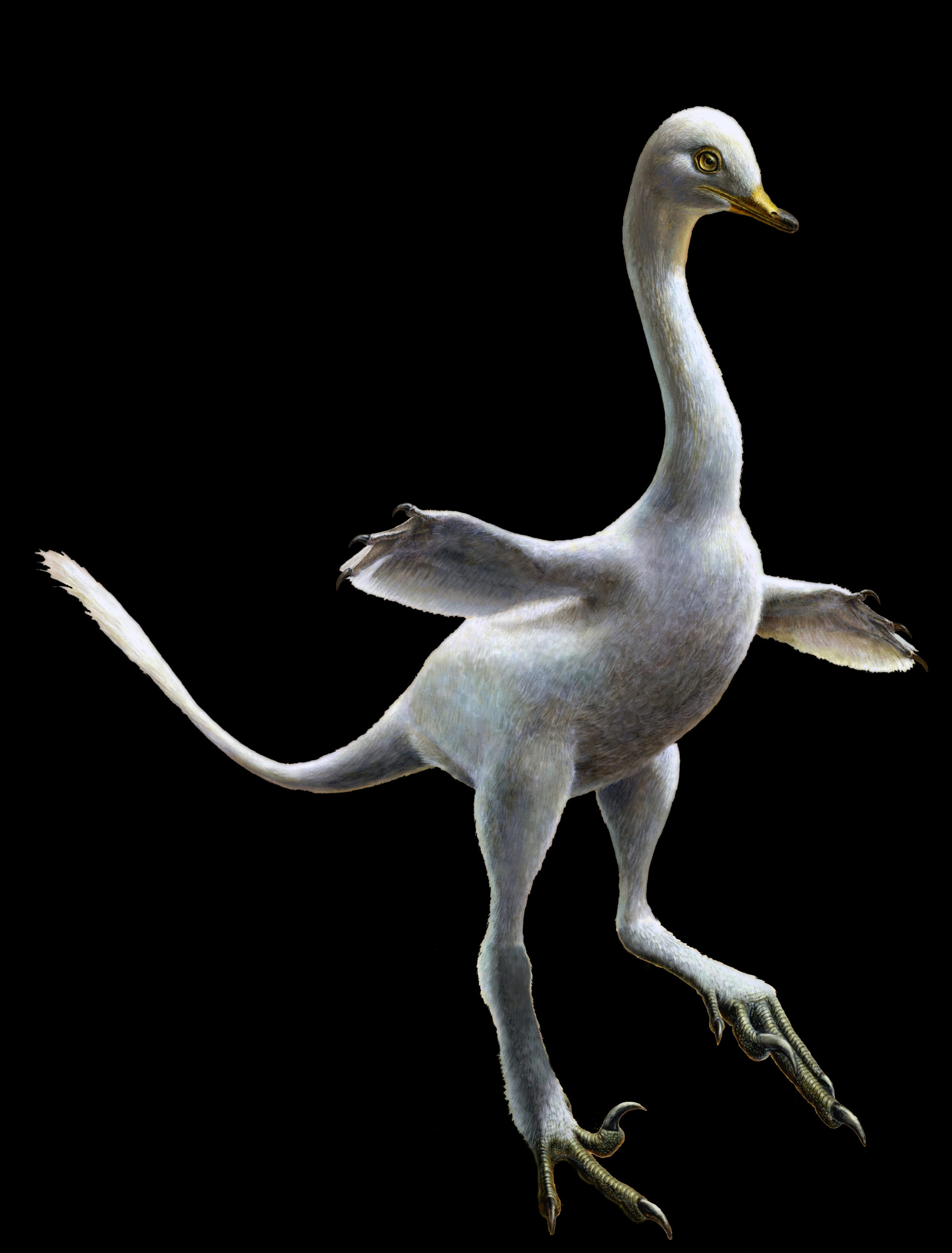 Freaky New Dinosaur Was Part Duck, Part Raptor