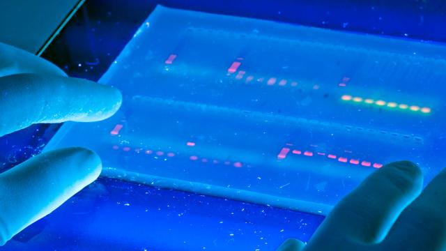 A Modified CRISPR Could Treat Common Diseases Without Editing DNA