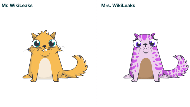 Wikileaks’ Digital Cats Need A Forever Home